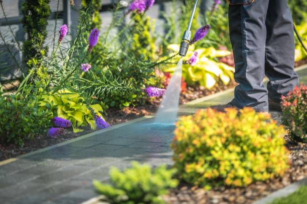 Best Animal Enclosure Cleaning  in Old Bethpage, NY
