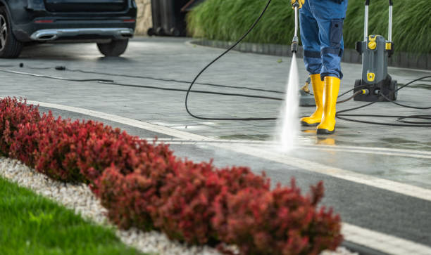 Best Dumpster Area Cleaning  in Old Bethpage, NY